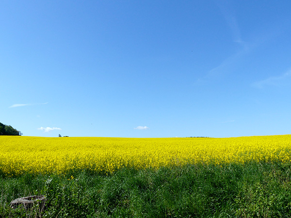 Fahrradtour Tiefwarensee 1